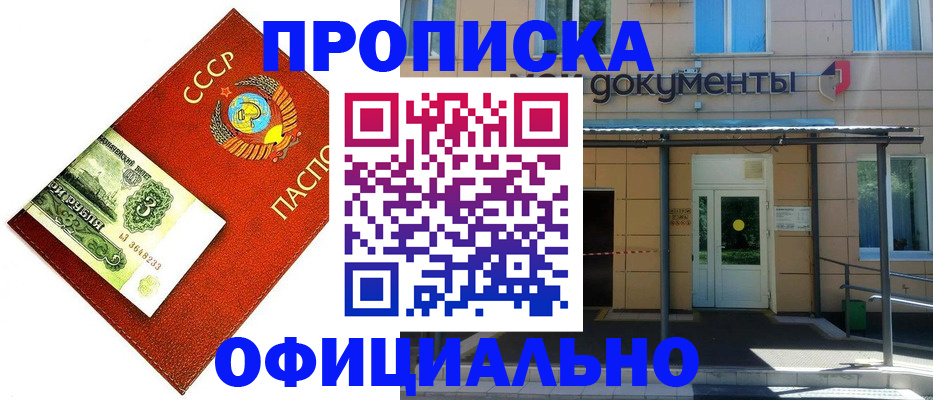 прописка для школы в Шали